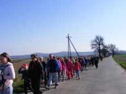 „Wiosna w Bukowym Lesie”